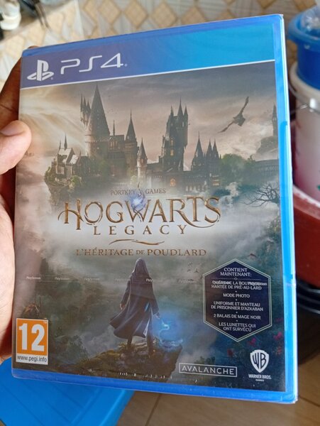 Jeu PS4 Hogwarts Legacy