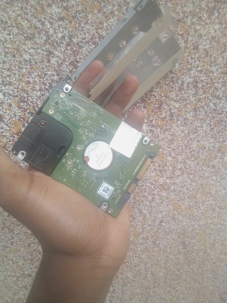 WD Disque Dur Interne 250GB