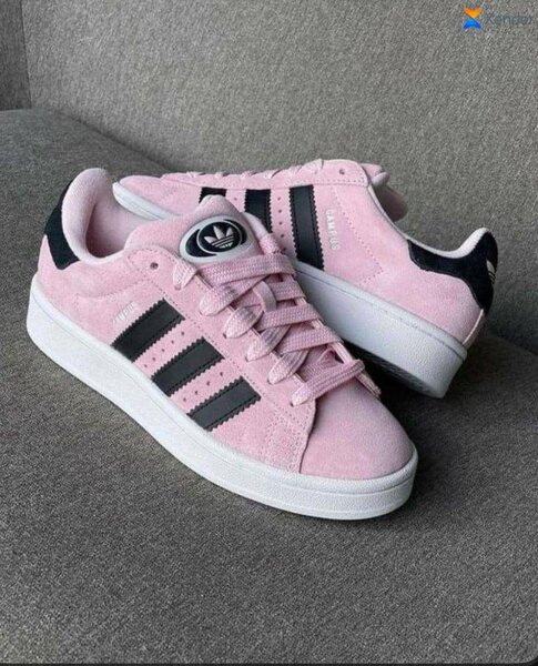 Adidas Campus Baskets Rose