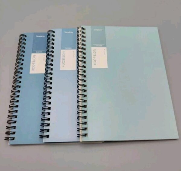 Morandi Notebook