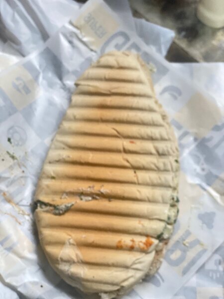 Panini fraîcheur grillé