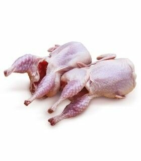 Caille vivante, caille plumée