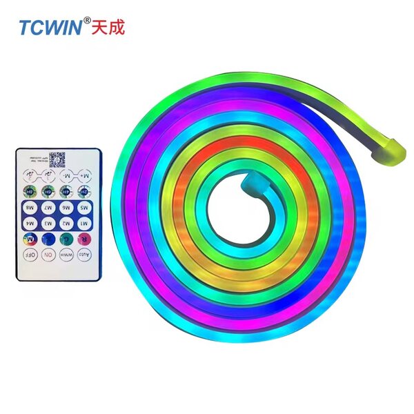 Guirlande Neon LED RGB 10m