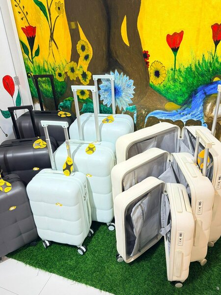 Valises à roulettes élégantes