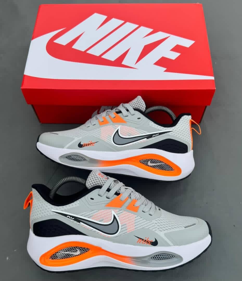 Chaussures Nike Air Max Homme