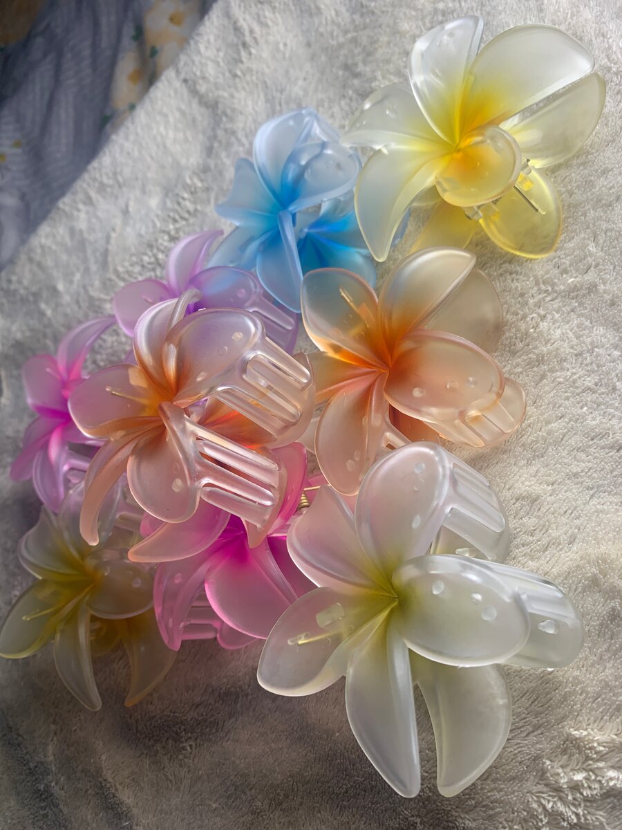 Pinces à cheveux fleurs colorées