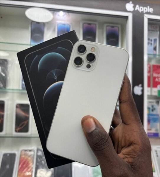 Apple iPhone 12 Pro Max