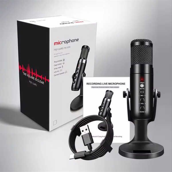 Microphone USB Professionnel