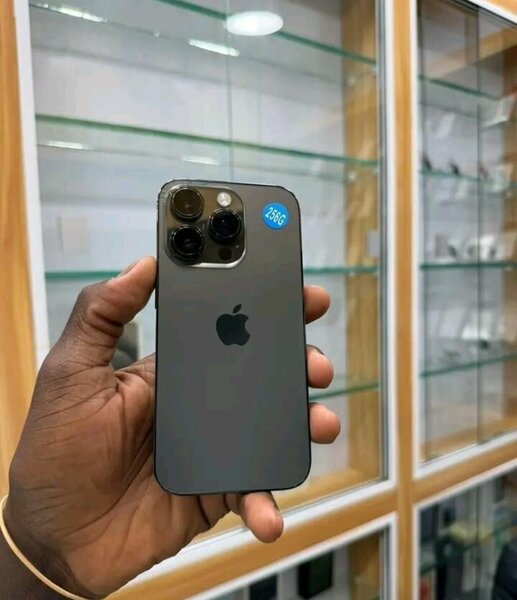 iPhone Pro Max 256 Go