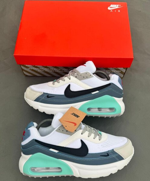 Baskets Nike Air Max homme