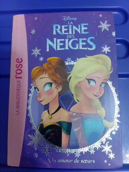 Livre 'La Reine des Neiges'