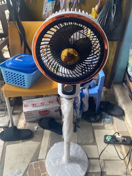 Adjustable Pedestal Fan petit