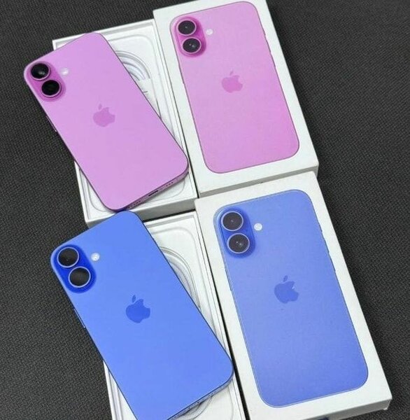 Coque Apple iPhone 14 coloré
