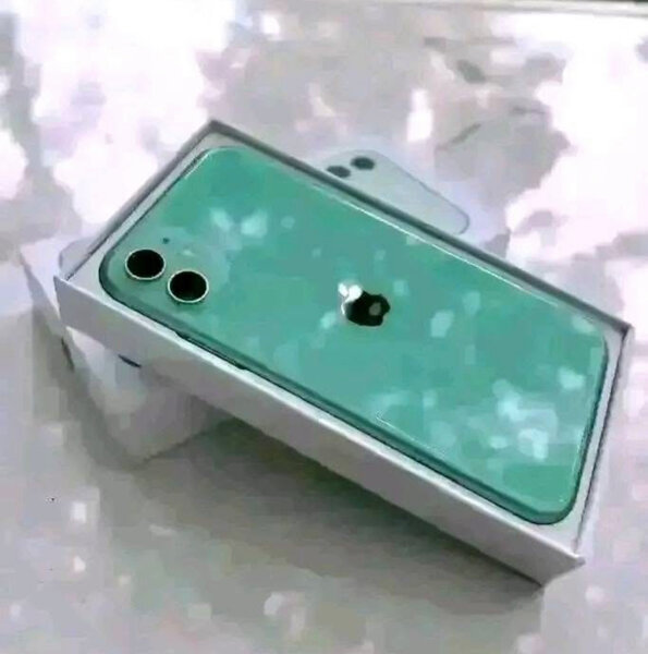iPhone 11 simple vert élégant