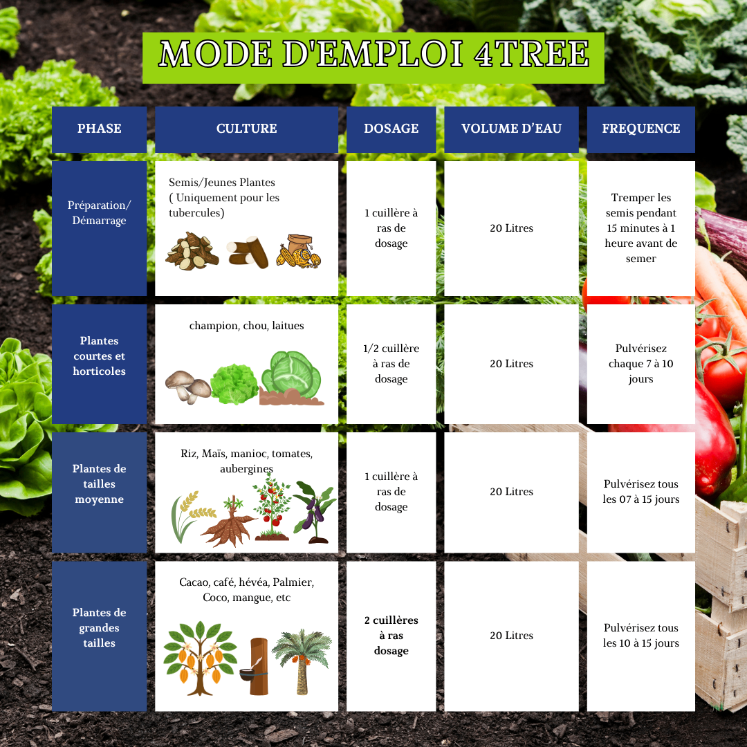 4Tree Angrais bio & ionique