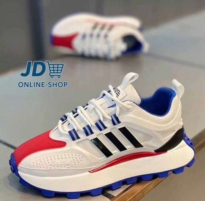 Chaussures de sport tricolores