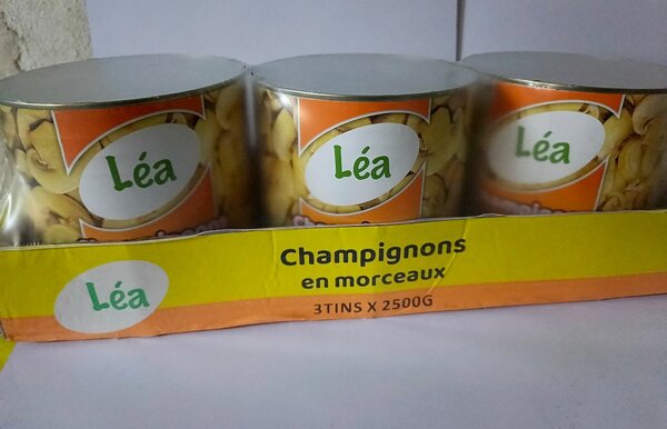 Champignons en morceaux Lea