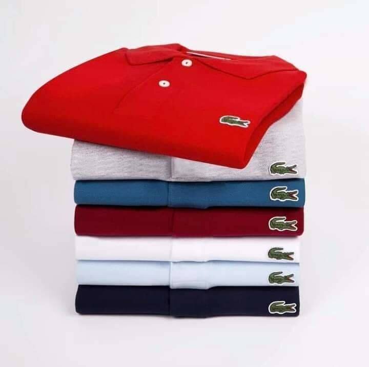 Lot de polos et chemises élégants