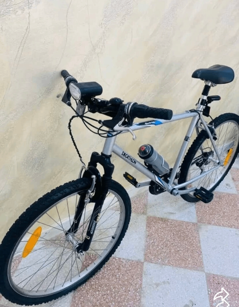 Vélo pliant HGXD gris et noir