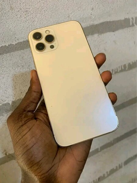 iPhone 13 Pro - Téléphone Reconditionné