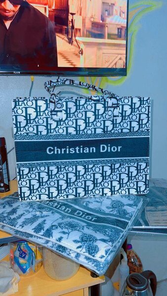 Sac Tendance Christian Dior