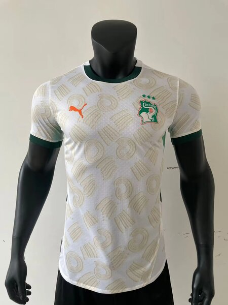 Maillots de côte d'ivoire