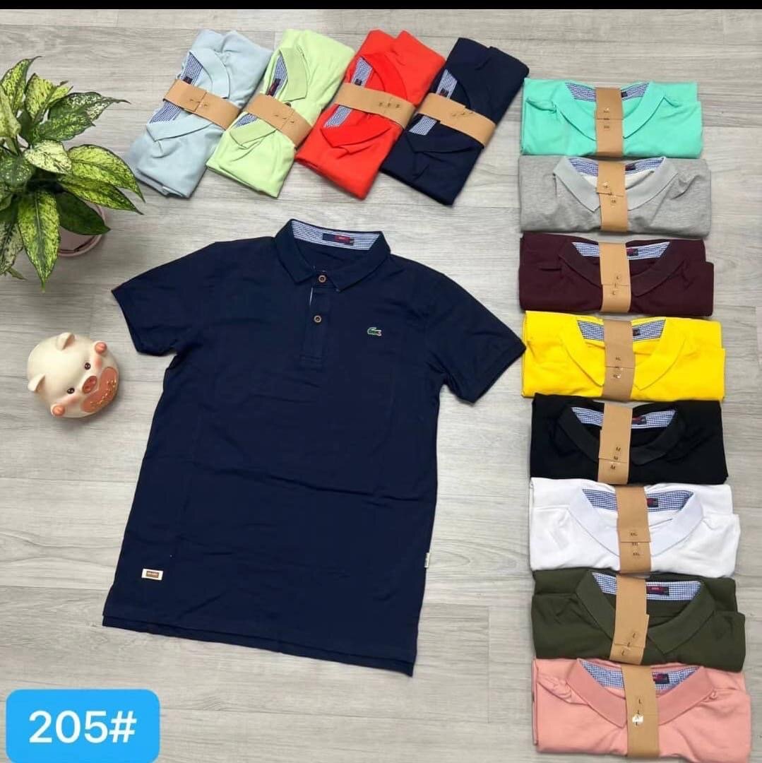 Lot de Polos Homme éclatants