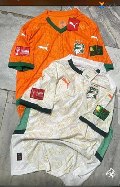 Maillots Côte d'Ivoire Puma