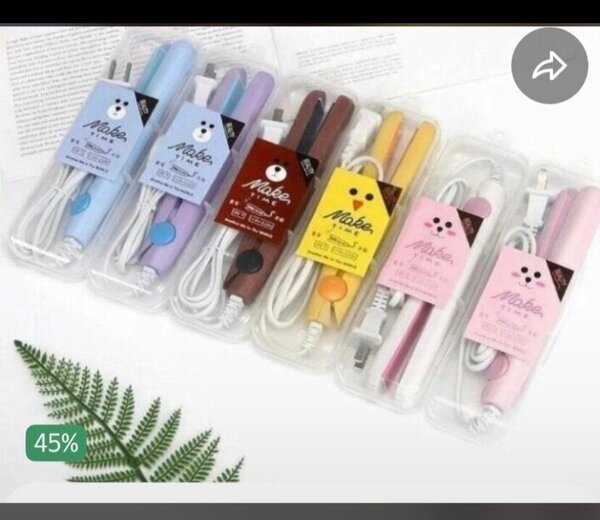 Mini Fer à Lisser Portable