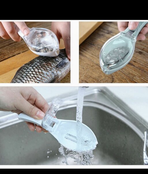 Écailleur de Poisson Pratique