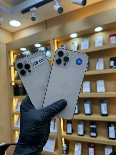 iPhone 13 Pro Reconditionné - 256Go