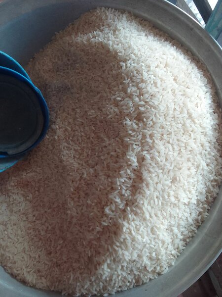 Riz blanc de qualité