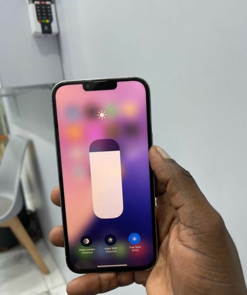 iPhone 13 Pro Max 256GB Argent