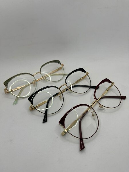 Lunettes élégantes avec étui