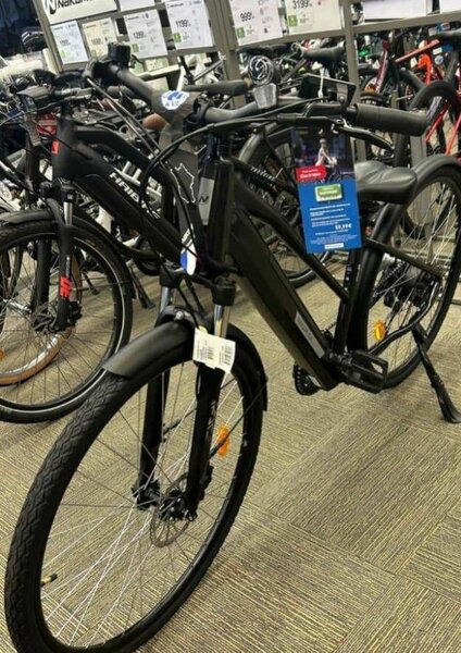 Vélo Électrique Fire Bird Homme