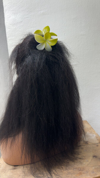 Perruque naturelle lace front