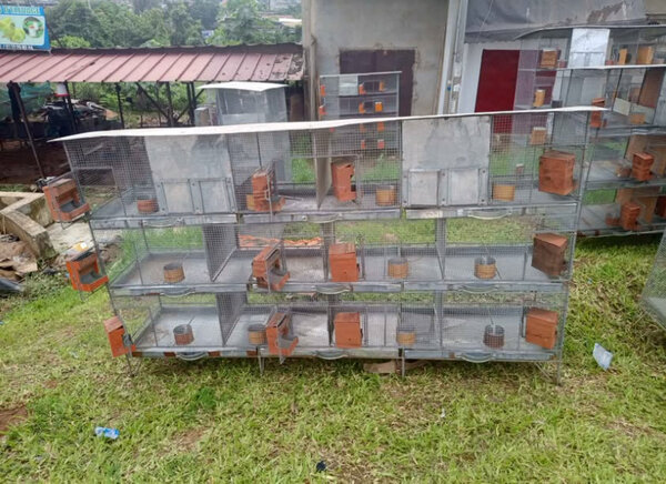 Cage pour lapins et autres animaux