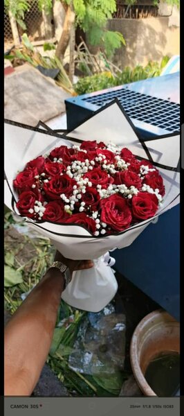 Bouquet de Roses Rouges Élégant