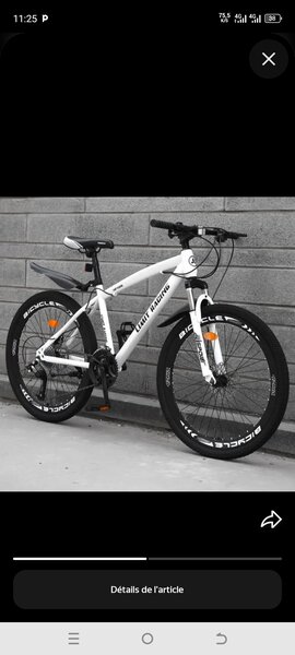 Vélo de montagne robuste