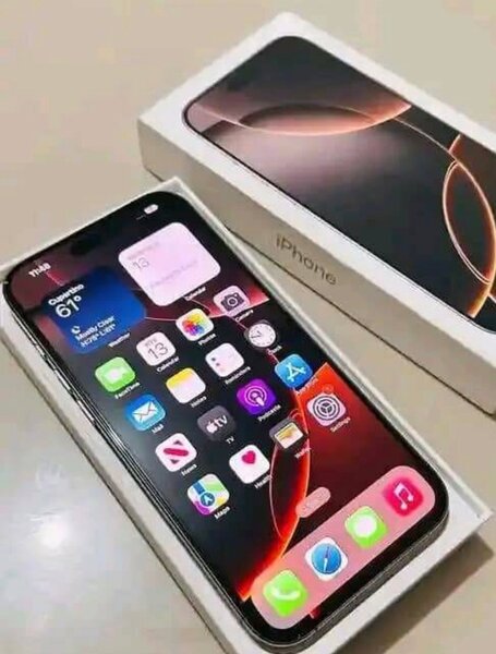 iPhone 15 Pro Max 256 Go