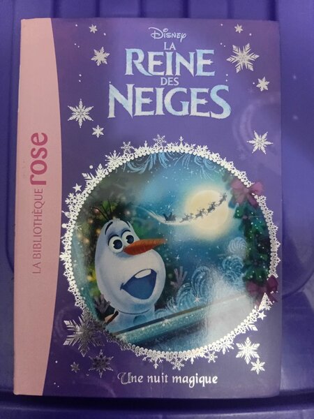 Livre Disney La Reine des Neiges