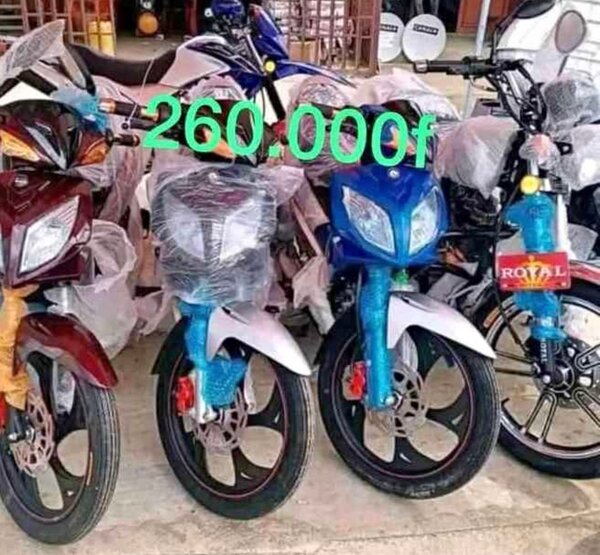 Moto électrique Royal - 260.000 F