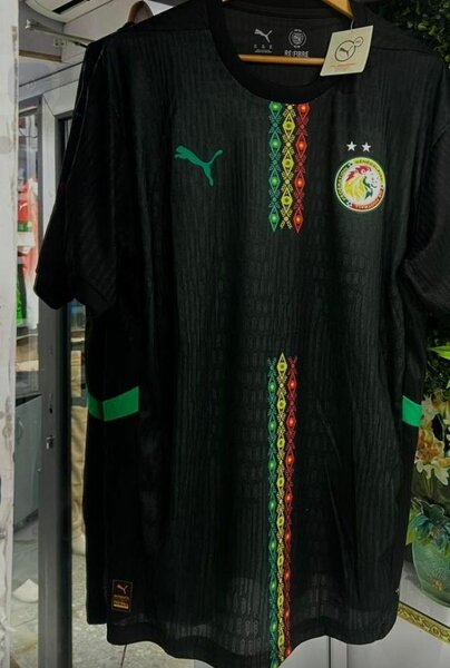 Maillot de football Puma Cameroun