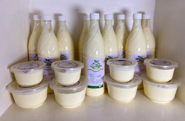 Yaourt nature crémeux