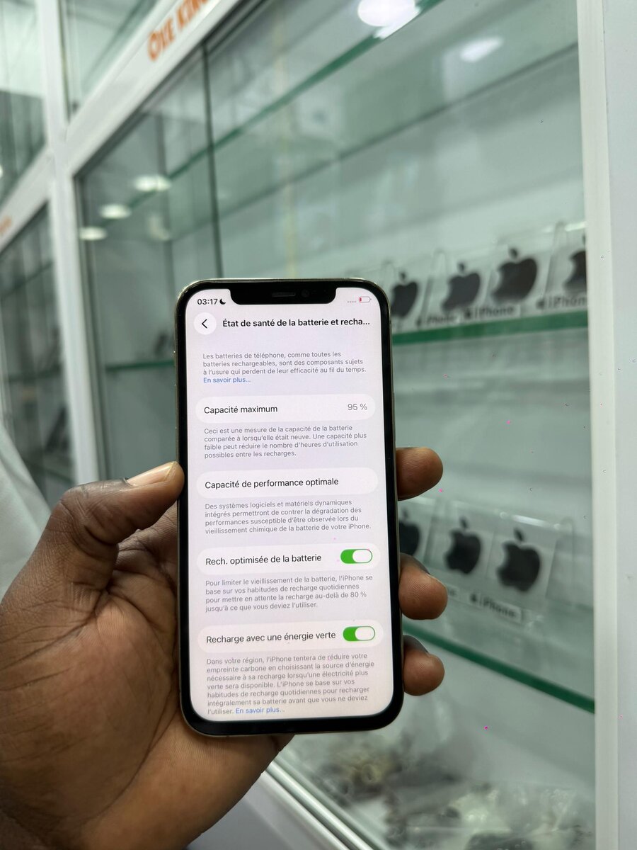 12 pro 256Go tout passe