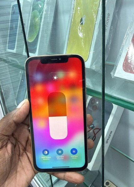 iPhone 13 Pro Max 512 Go blanc