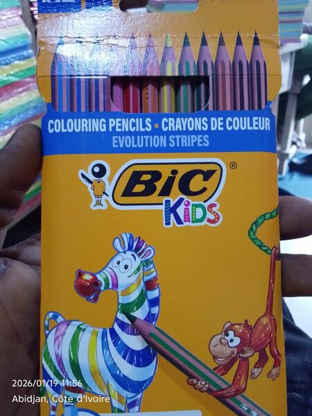 Crayons de Couleur BIC Kids