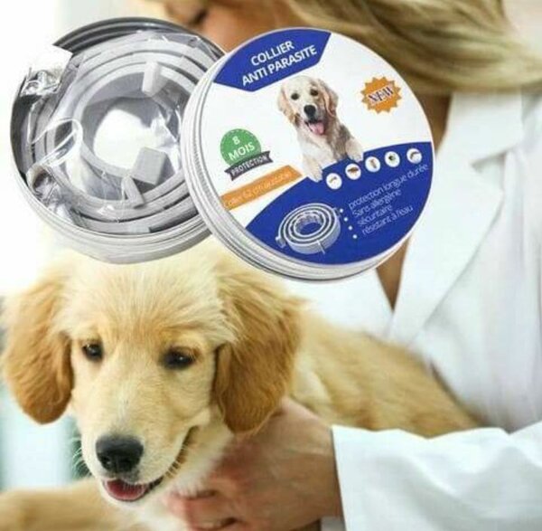 Collier anti-parasitaire pour chien