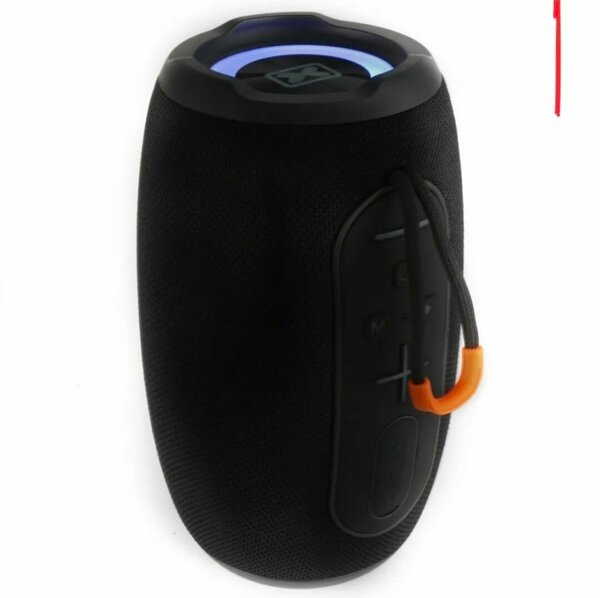 Enceinte Bluetooth Portable