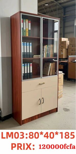 Armoire de Rangement pour Dossiers et Documents